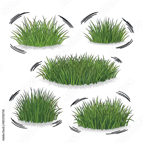 Lush Green Grass Clumps A Vibrant Collection of Turf.