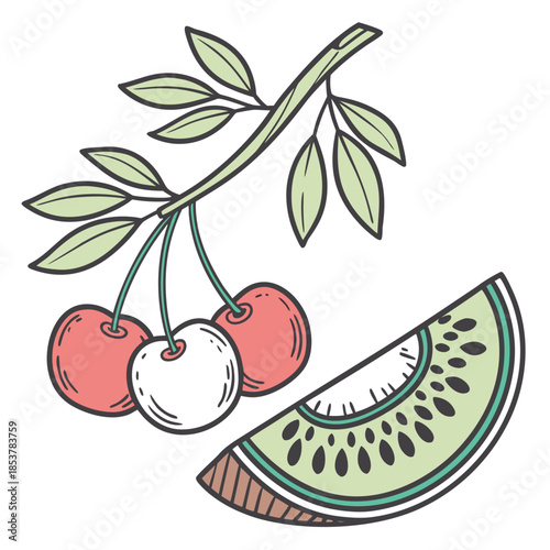 Branch with cherries and kiwi slice