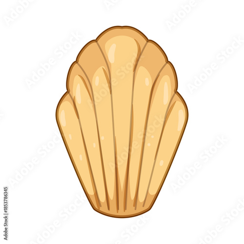 Madeleine cookie is a classic french buttery sponge pastry, featuring distinctive shell shape ridges, representing gourmet dessert and traditional european baking