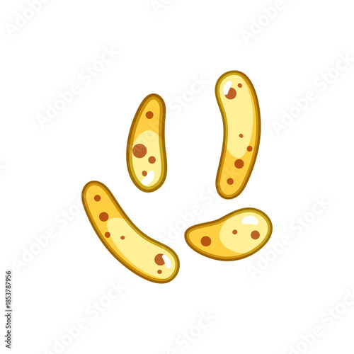 Probiotic bacteria cells illustrate the important role of beneficial microorganisms in human health, digestion, and the intricate balance of the gut microbiome, supporting wellness