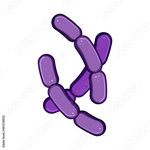 Lactobacillus bacteria illustrating concepts of probiotics and gut health, representing beneficial microorganisms vital for the human microbiome and digestive well being
