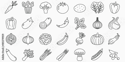 Assortment of Hand Drawn Vegetable Icons in Outline Style on White Background carrot radish