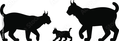 Silhouettes of a lynx family walking on white background bobcat wild cat