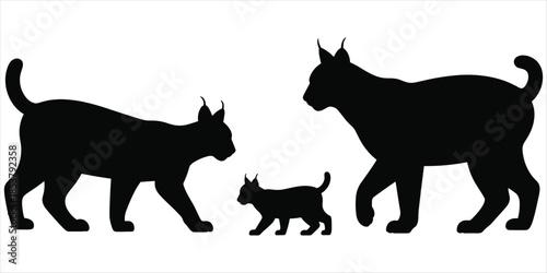 Silhouettes of three lynx cats walking on a white background Keywords: lynx, cats, silhouette, wild animal, predator, feline