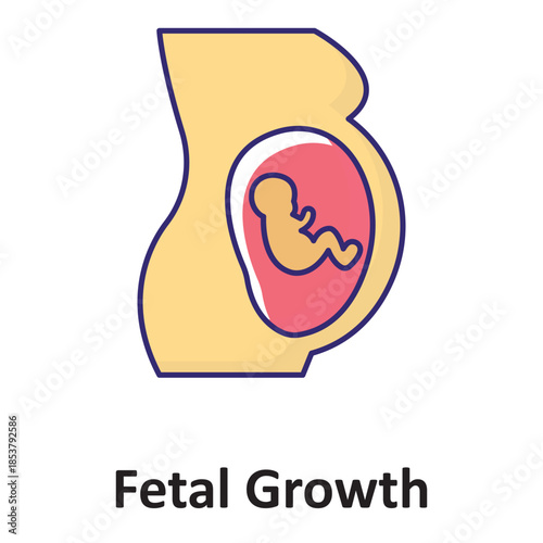 Fetal Growth Vector Icon which can easily modify or edit