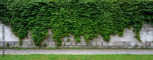 Urban Landscape Adorned With Lush Greenery, Vertical Plant Installations Enhance Modern City Aesthetics And Sustainability