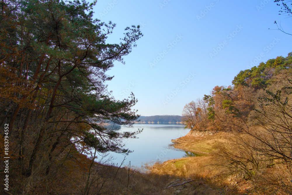 Naklejka premium A forest covered with bushes with a wide view of the river on a clear autumn day