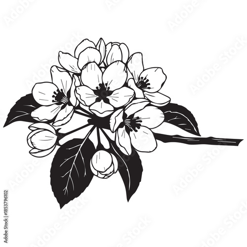 Stunning black and white floral illustration of blooming flowers