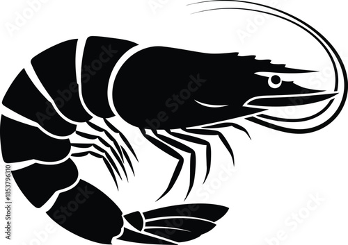 A striking black and white illustration of a single shrimp with curved form
