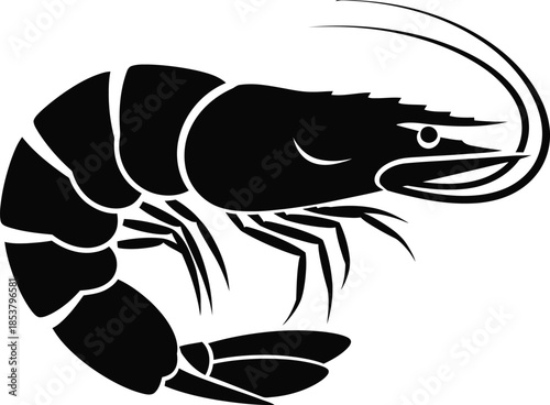 A striking black and white illustration of a curved shrimp silhouette