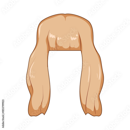 Blonde wig with long, straight hair featuring bangs, presented in a clean cartoon illustration style, representing concepts of beauty, fashion, hair loss, or costume accessories