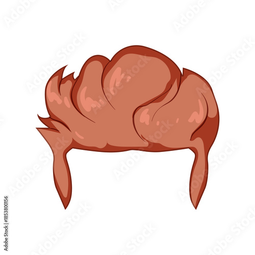 Male wig illustration depicting a brown hairpiece representing concepts of men's beauty, hairstyle, fashion, and hair loss solutions on a white background