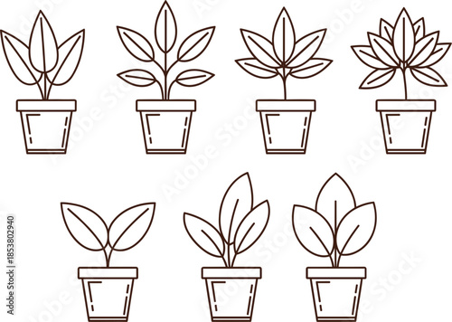 Minimalist Vector Line Art of Various Houseplants in Small Decorative Flower Pots