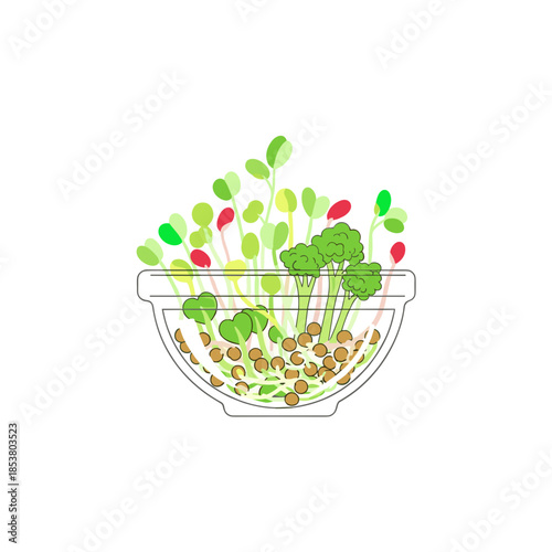 Glass bowl filled with colorful mixed sprouts and greens  