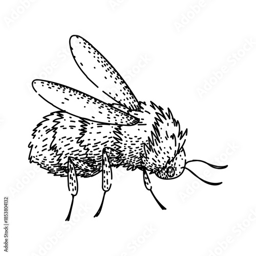 Bumblebee in flight showing its fuzzy body and translucent wings, minimalist black and white line drawing on white background, charming insect sketch for logo or icon
