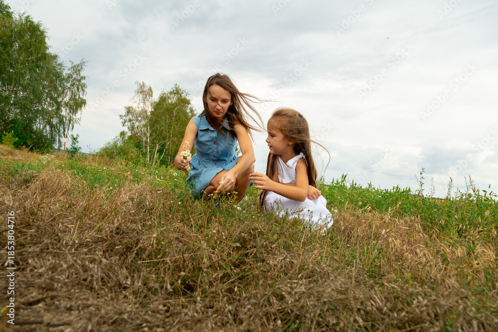 Fototapeta premium Mother and daughter picking daisies in a field on a summer day