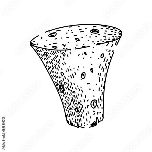 Vector illustration depicting a hand drawn wine cork with visible texture, representing stopper for a bottle and associated with winemaking, celebration, and opening beverages