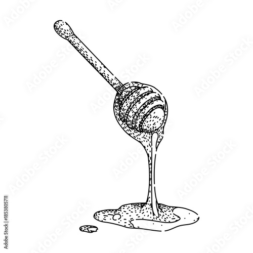 Honey dipper dripping golden liquid on a white background, symbolizing natural sweetness, organic food, and healthy delicious cuisine in a hand drawn illustration style