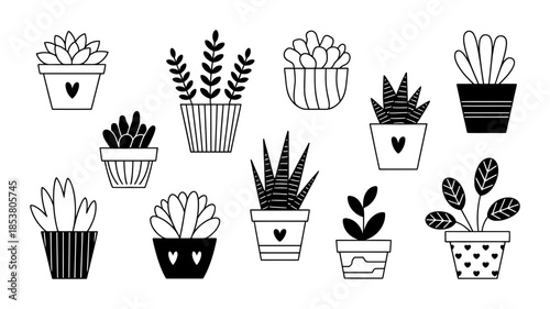 Collection of potted succulent plants in a minimalist black and white doodle style