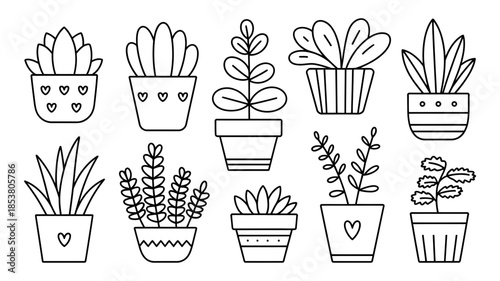 Collection of cute hand-drawn potted plants and succulents