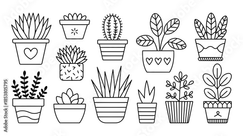 Collection of various potted houseplants in a doodle art style