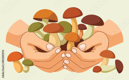 Hands cradling various colorful mushrooms in a gentle, nurturing gesture
