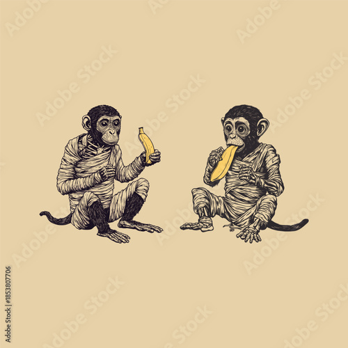 Vintage hand-drawn illustration of a young monkey or chimpanzee wrapped in mummy bandages while holding a banana.