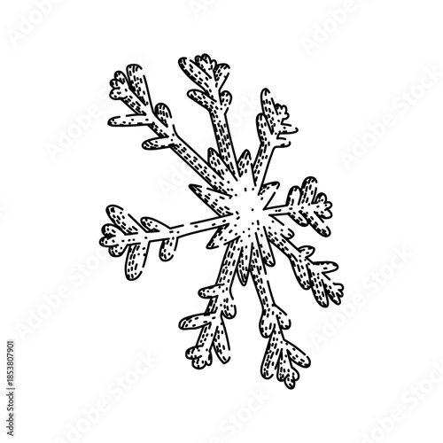 Stylized detailed snowflake drawing presenting an intricate crystalline structure, perfect for winter holiday designs, christmas decorations, and cold weather themes, isolated on a white background