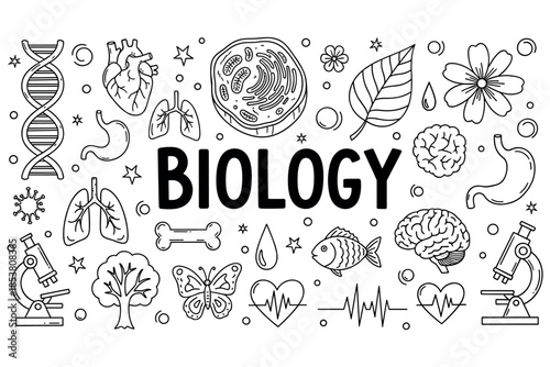 (Adobe Illustrator Artwork)