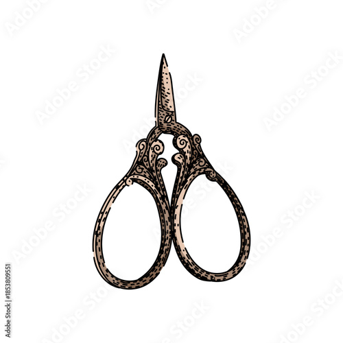 Ornate antique scissors with decorative scrollwork handles and a fine pointed blade, vintage tailoring and embroidery tool on white background, detailed engraving style look
