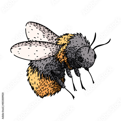 Bumblebee in midflight with fuzzy body and translucent wings, detailed close up illustration evoking pollination, spring garden ecology, and environmental health
