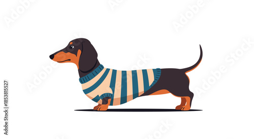 A cute cartoon dachshund dog standing in profile while wearing a cozy blue and white striped sweater isolated on a white background.