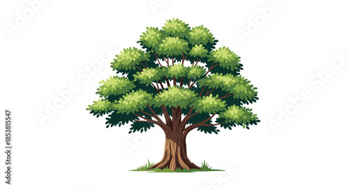 Beautifully illustrated large deciduous tree with a thick trunk and a lush green canopy of leaves isolated on a clean white background.