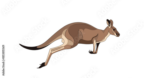 A dynamic illustration of a brown kangaroo in mid-jump showcasing its powerful legs and long tail isolated on a white background.