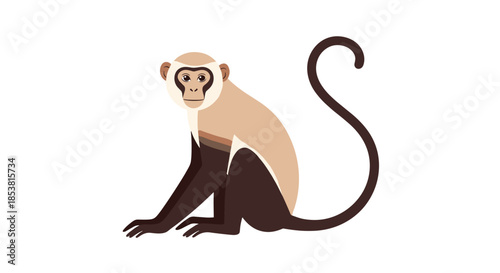 A simple flat vector illustration of a spider monkey with light brown and dark fur sitting down with its long tail curled up.
