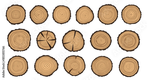 A collection of fifteen detailed illustrations showing the cross-section of tree trunks with visible age rings and bark texture.
