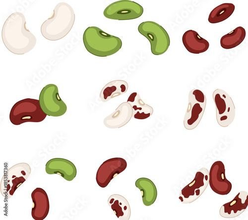 Different types of beans including white, green, red, and pinto varieties are falling, representing healthy eating, a rich source of plant protein, and natural food ingredients