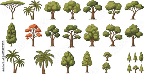 Set of various cartoon tree illustrations including palm trees oaks pines and tropical forest vegetation isolated on white background for design