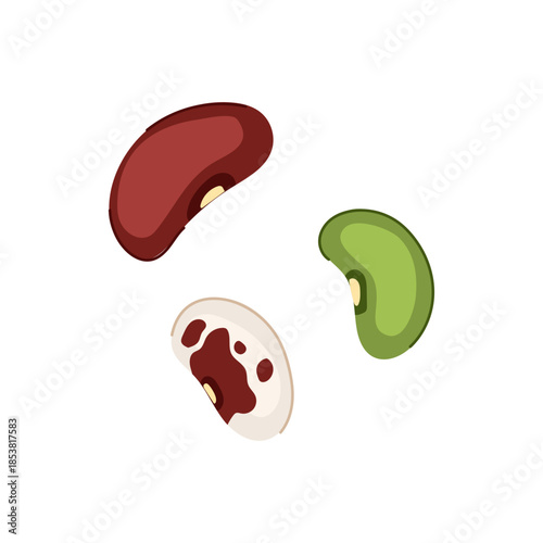 Three different types of beans, including red, green, and speckled varieties, are floating on a white background, symbolizing fresh legumes, cooking ingredients, and diverse plant based diets