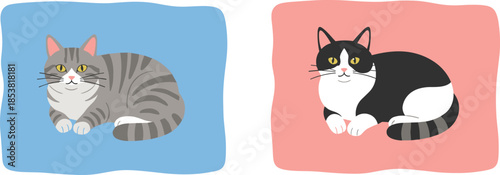 Cartoon cats lying down, colorful background, tabby and black white fur, cute pets, vector illustration, relaxed pose, animal design, decorative theme