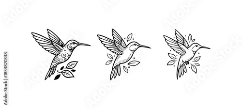 Black and White Hummingbird Flying Nature Sketch