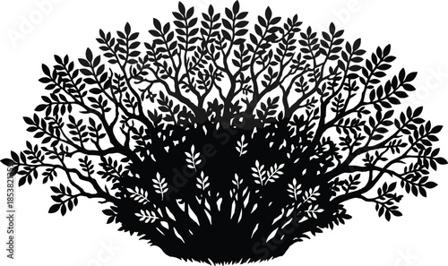 Tree and bush silhouette vector illustration, detailed leafy shrub with branches, black isolated nature design for garden, forest, landscaping concepts