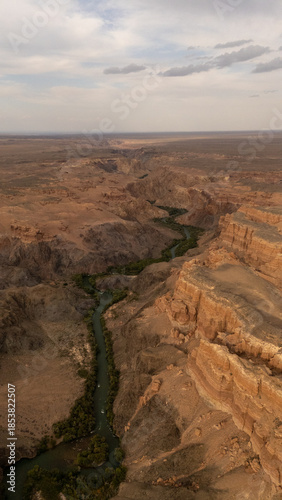 Aerial view of a canyon with winding river rugged cliffs sparse vegetation
