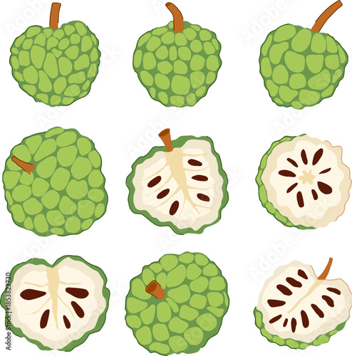 Ripe custard apples presented as a set of flat vector illustrations, featuring whole fruits and cross sections revealing the creamy pulp and dark seeds, depicting healthy organic produce