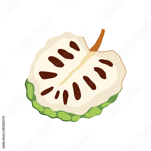 Soursop custard apple cross section displaying creamy white flesh and dark brown seeds, representing exotic fruits, healthy eating, and natural ingredients