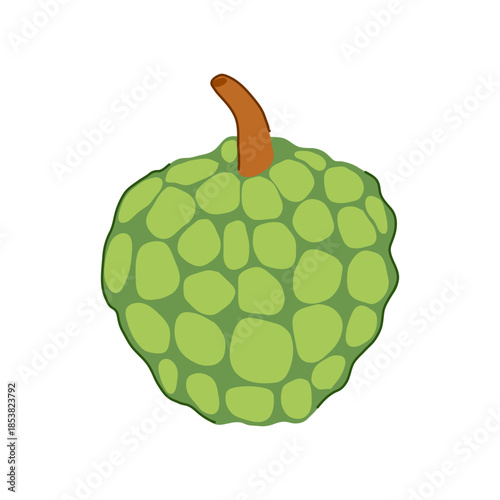 Custard apple showing textured green skin and a brown stem, illustrating healthy eating, natural food, and exotic fruit for food and lifestyle concepts