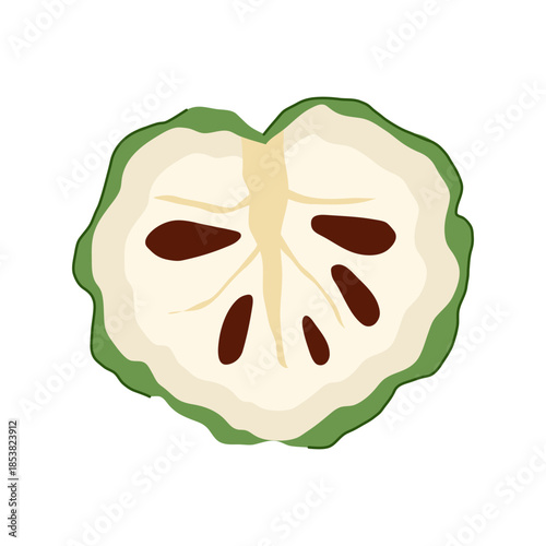 Custard apple cross section illustration revealing creamy white pulp and dark brown seeds, representing exotic fruits, healthy eating, and natural ingredients