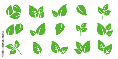 Leaf vector symbol, leaf illustration or leaf emoji in flat style. Spring leaf design, ecological nature theme.	