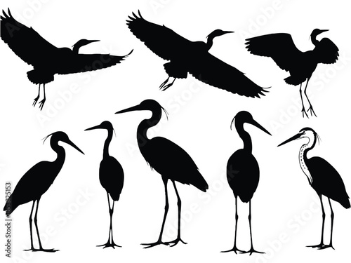 Silhouettes of herons in various flight and standing poses