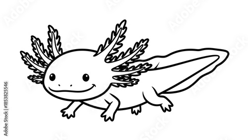 Cartoon axolotl outline illustration featuring a charming amphibian in simple black and white line